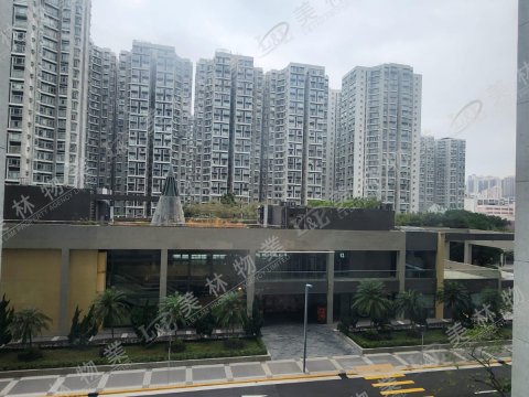 llam.com.hk