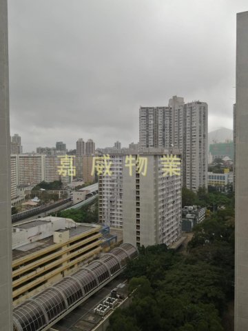 博康村 @ EMILY 95080096