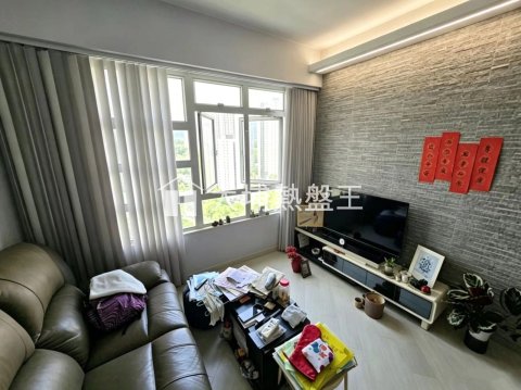 大埔中心  