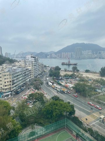 llam.com.hk
