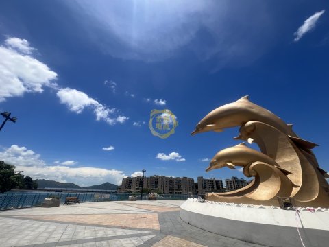 香港黃金海岸 第2期A 香港黃金海岸 第2期A