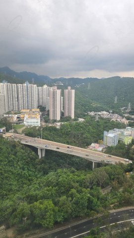 llam.com.hk