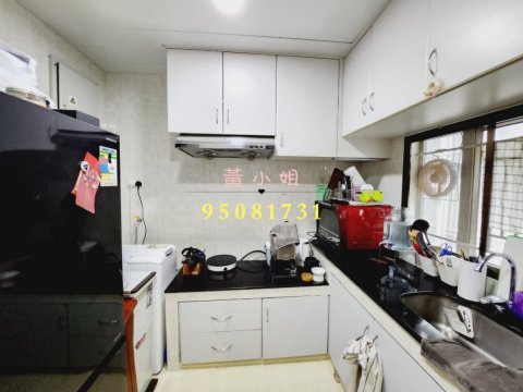 坪朗   95081731