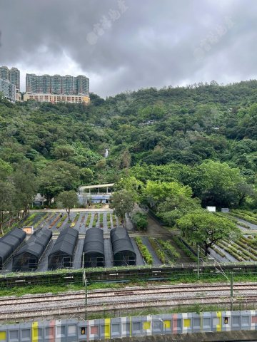 荃景花園 荃景花園