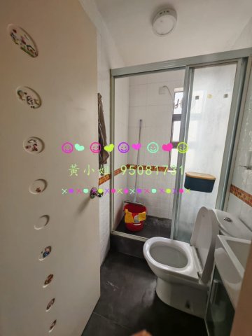 布心排