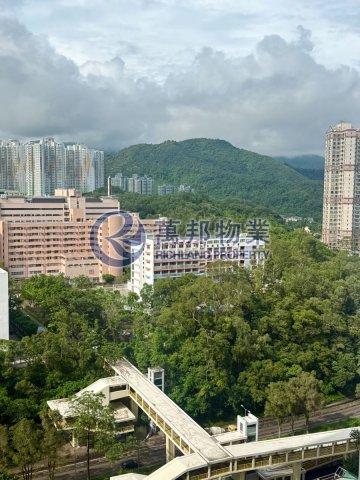 怡雅苑 怡雅苑