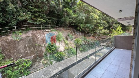 菠蘿輋