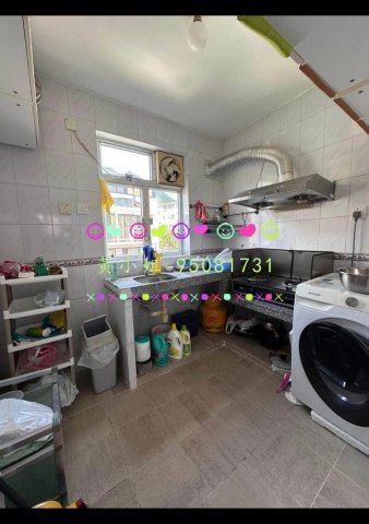 蘆慈田   95081731