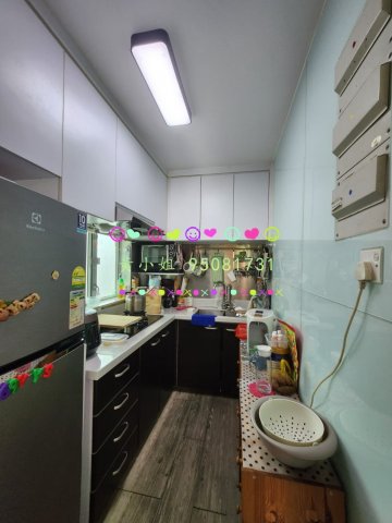元嶺村   95081731