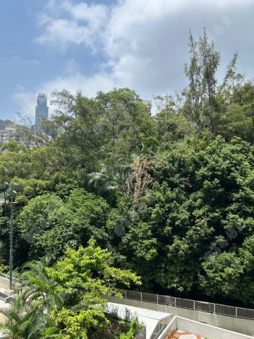 荃景花園