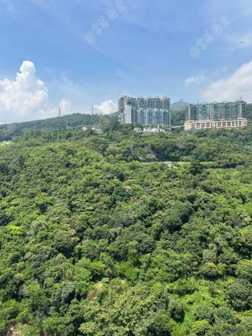荃灣中心 荃灣中心