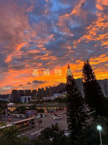河畔花園 A座
