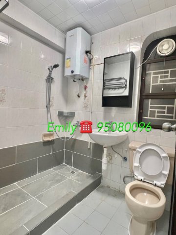 沙田圍舊村 @ EMILY 95080096