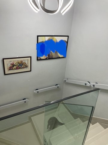 山頂花園 95080030