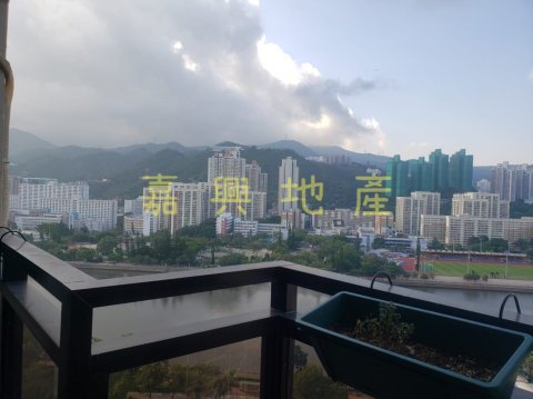 富豪花園 明麗閣**Annie 95081767
