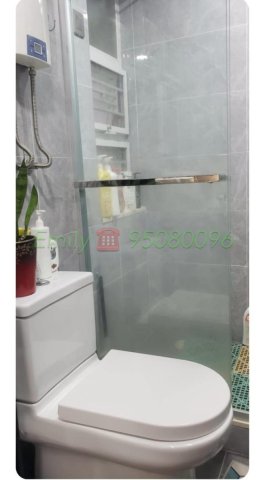 下禾輋村 @ EMILY 95080096