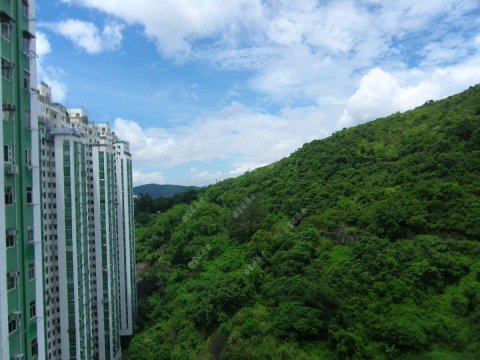 荃威花園 M座 荃威花園 M座