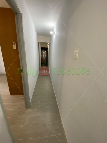 沙田圍舊村 @ EMILY 95080096