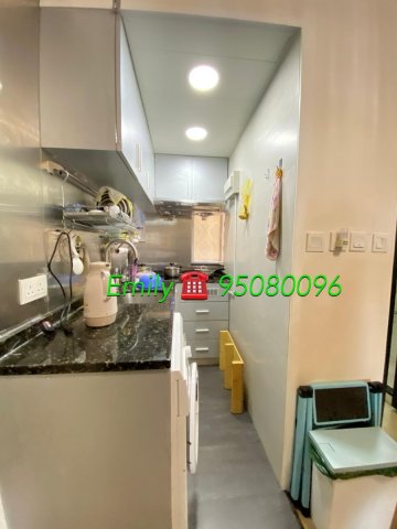 翠華花園 95081626