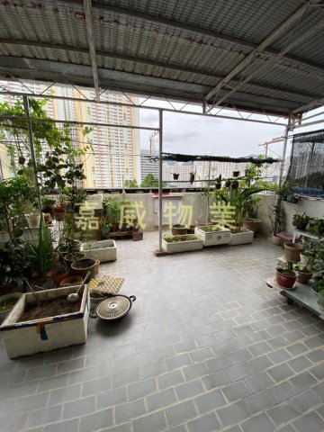 下禾輋村 八佰花園