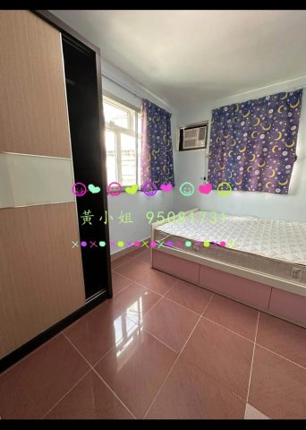 蘆慈田   95081731