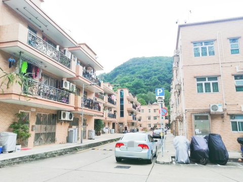 曾大屋新村**Annie 95081767