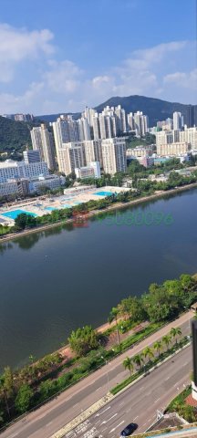 河畔花園 95081626