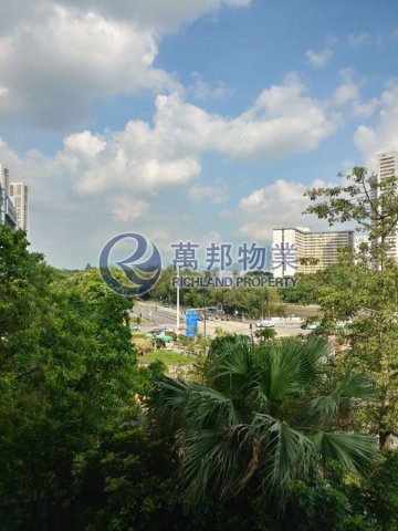 大埔中心 大埔中心