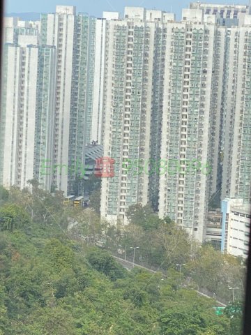 春暉花園 @ EMILY 95080096