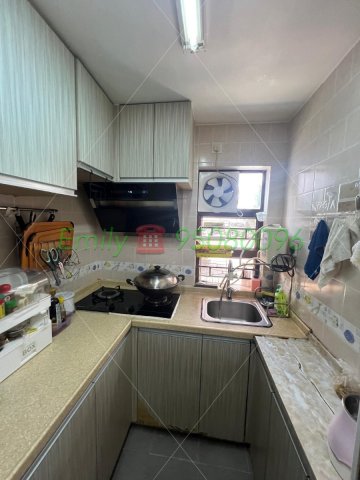 王屋村 @ EMILY 95080096