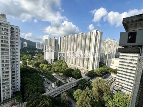 大埔中心  
