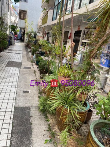 大圍新村 @ EMILY 95080096