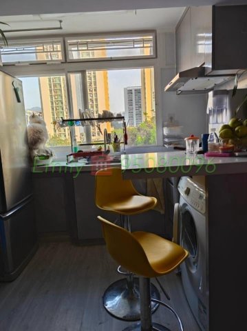 下禾輋村 @ EMILY 95080096