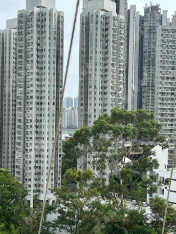 荃灣中心 荃灣中心