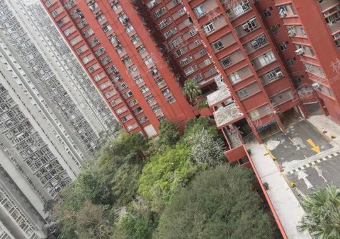 llam.com.hk