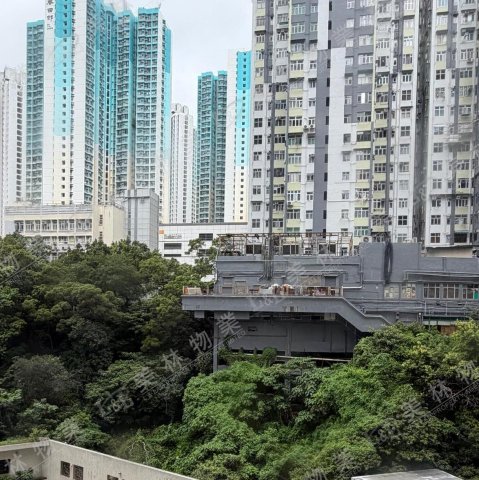 llam.com.hk