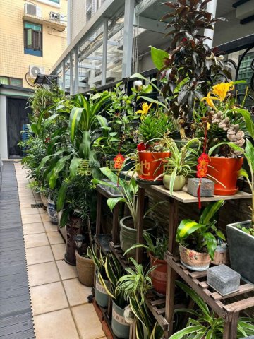 新屋家村  95081731