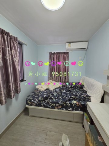 放馬莆  95081731