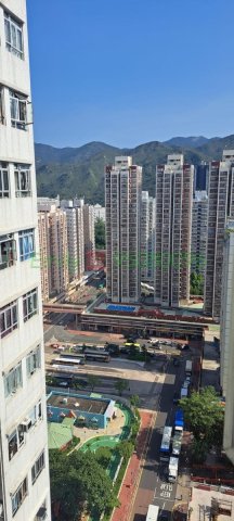 河畔花園 @ EMILY 95080096