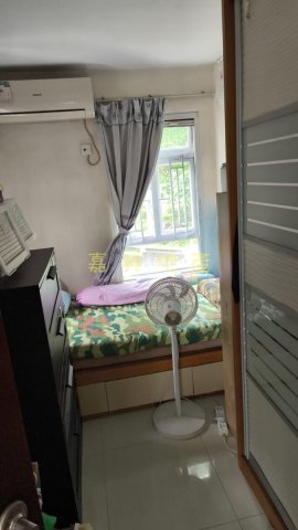 半山洲  95081731