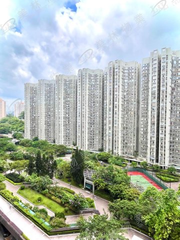 llam.com.hk