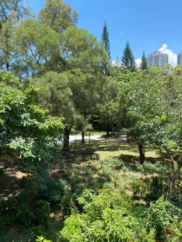 王屋村 @ EMILY 95080096