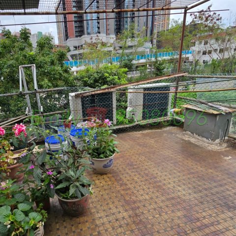 火炭村 @ EMILY 95080096