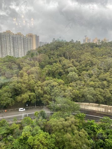 llam.com.hk