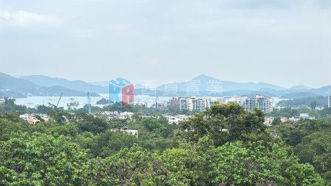 南山村