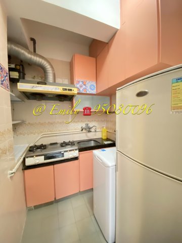 河畔花園 @ EMILY 95080096