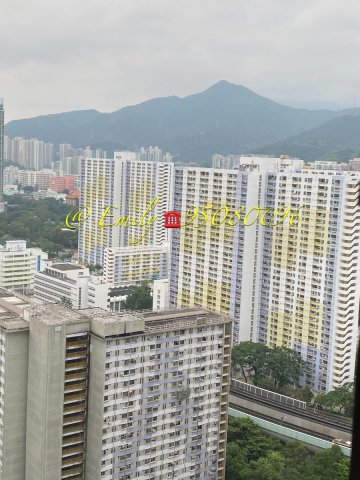 POK HONG EST 