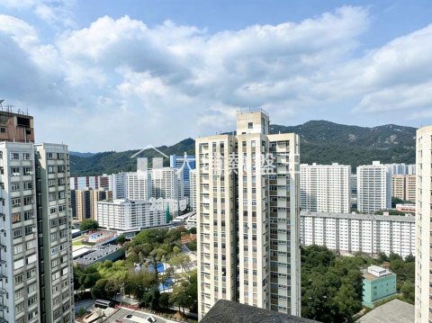 大埔廣場  