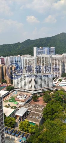 大埔中心