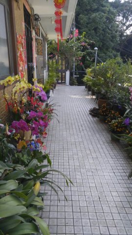 牛皮沙村 95080030